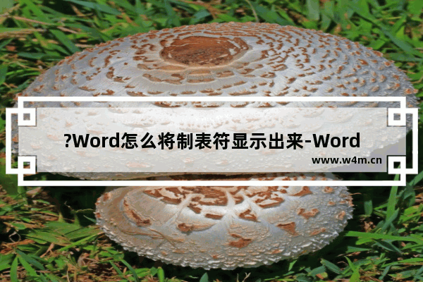 ?Word怎么将制表符显示出来-Word文档设置显示制表符格式标记的方法教程