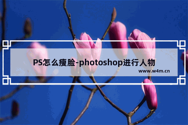 PS怎么瘦脸-photoshop进行人物瘦脸的方法教程