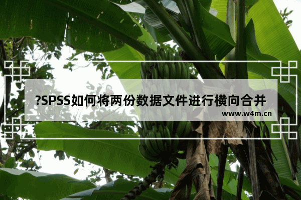 ?SPSS如何将两份数据文件进行横向合并-SPSS数据文件的横向合并的方法教程