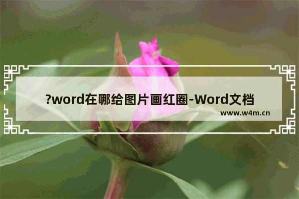 ?word在哪给图片画红圈-Word文档为图片添加标识性的圆圈的方法教程