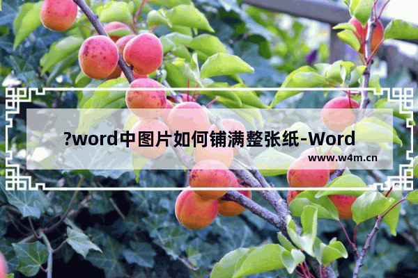 ?word中图片如何铺满整张纸-Word文档设置图片铺满整个页面的方法教程