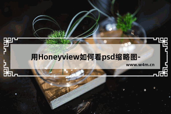 用Honeyview如何看psd缩略图-Honeyview预览PSD文件的方法