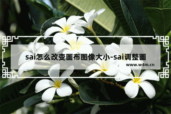 sai怎么改变画布图像大小-sai调整画布大小的方法