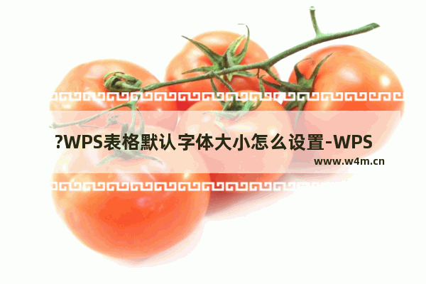 ?WPS表格默认字体大小怎么设置-WPS Excel设置默认字体字号的方法教程