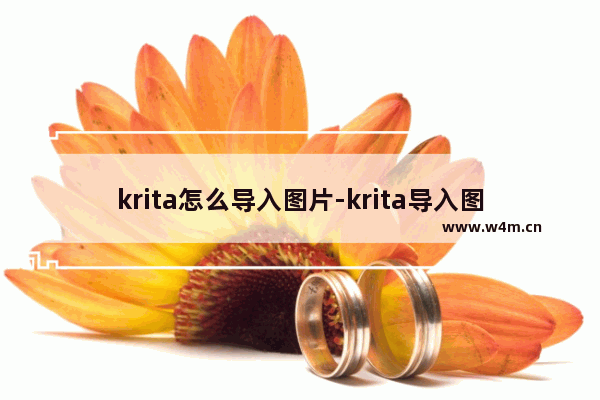 krita怎么导入图片-krita导入图片的方法