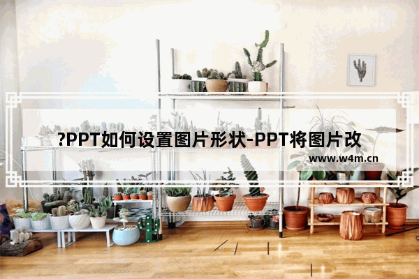 ?PPT如何设置图片形状-PPT将图片改为自己想要的形状的方法教程