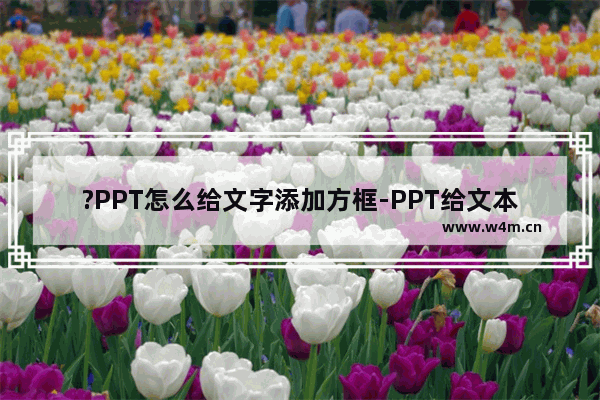 ?PPT怎么给文字添加方框-PPT给文本添加方框的方法教程