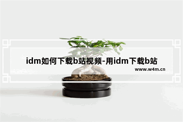 idm如何下载b站视频-用idm下载b站视频的方法