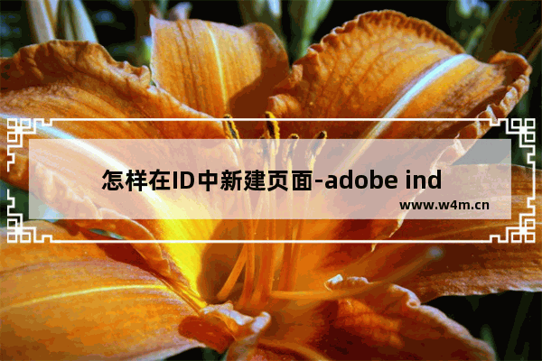 怎样在ID中新建页面-adobe indesign2022插入新的页面的方法