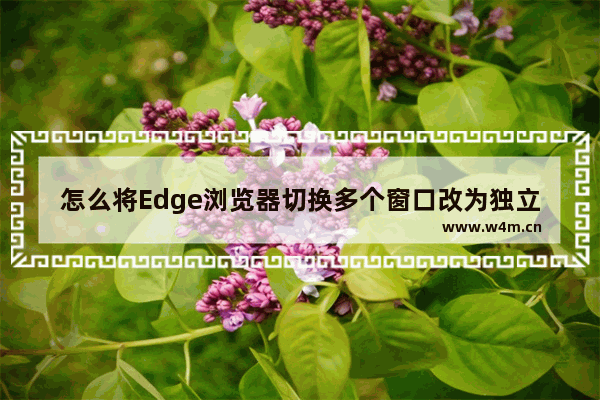 怎么将Edge浏览器切换多个窗口改为独立窗口-Edge浏览器取消多个窗口改为独立窗口的方法