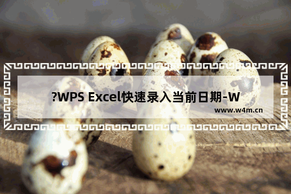 ?WPS Excel快速录入当前日期-WPS表格快速输入当前日期和时间的方法教程