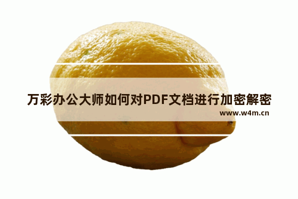 万彩办公大师如何对PDF文档进行加密解密-万彩办公大师PDF安全加密解密工具的方法教程