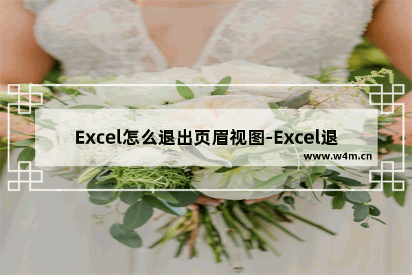 Excel怎么退出页眉视图-Excel退出页眉页脚视图的方法