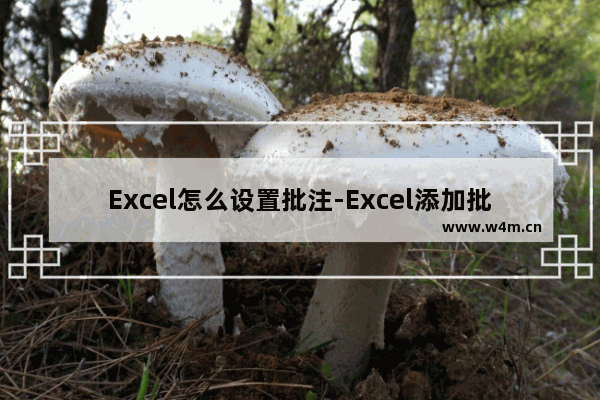 Excel怎么设置批注-Excel添加批注的方法