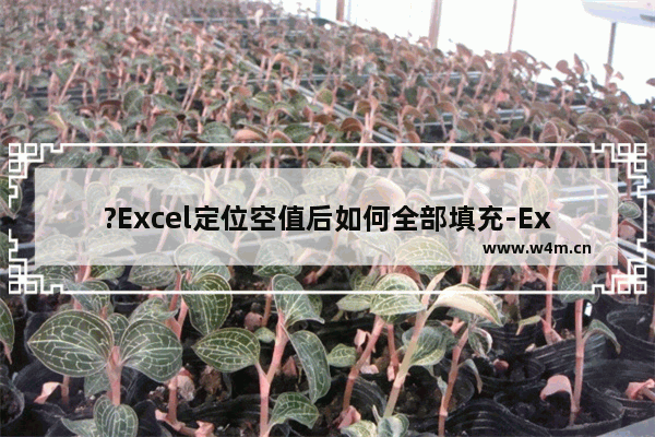 ?Excel定位空值后如何全部填充-Excel表格定位到空值后全部填充数据的方法教程