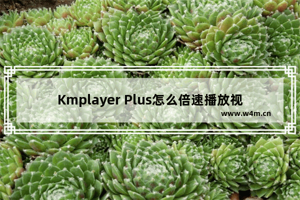 Kmplayer Plus怎么倍速播放视频-Kmplayer Plus倍速播放视频的方法