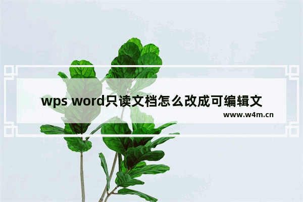 wps word只读文档怎么改成可编辑文档-wps word中只读文档改成可编辑文档的方法