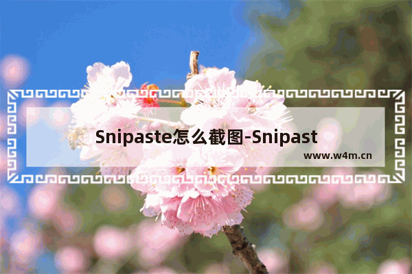 Snipaste怎么截图-Snipaste截图工具进行截图的操作方法