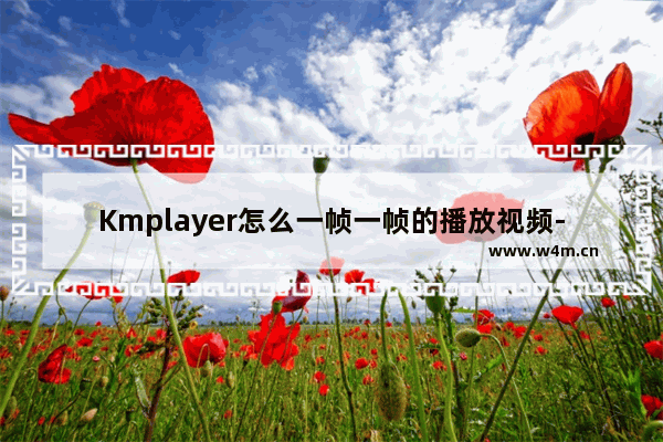 Kmplayer怎么一帧一帧的播放视频-Kmplayer逐帧播放视频的方法