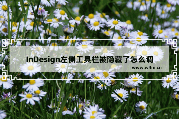 InDesign左侧工具栏被隐藏了怎么调出-InDesign快速调出工具栏的方法