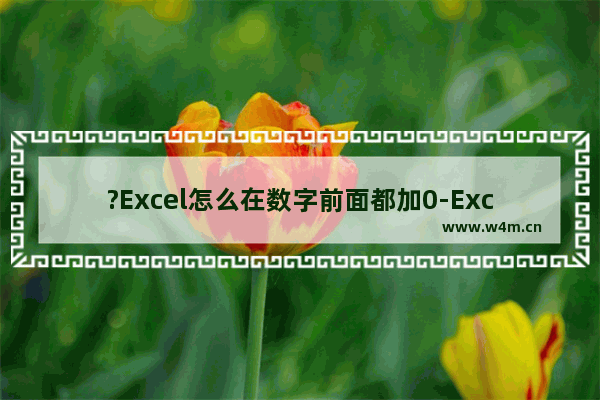 ?Excel怎么在数字前面都加0-Excel在数字前面批量补0的方法教程