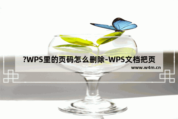 ?WPS里的页码怎么删除-WPS文档把页码删了的方法教程