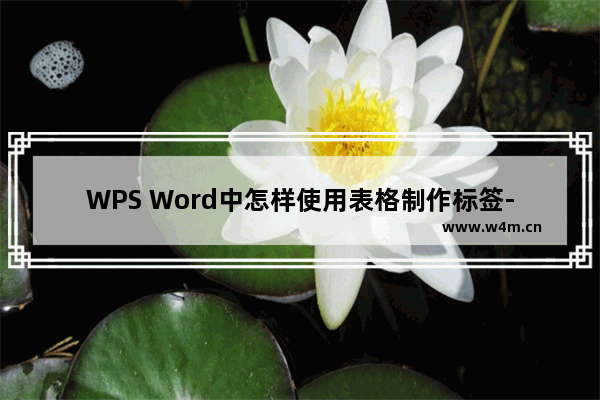 WPS Word中怎样使用表格制作标签-WPS Word表格制作标签的方法