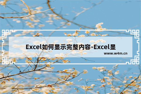 Excel如何显示完整内容-Excel显示完整内容的方法