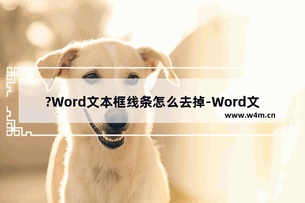 ?Word文本框线条怎么去掉-Word文档去掉文本框线条的方法教程