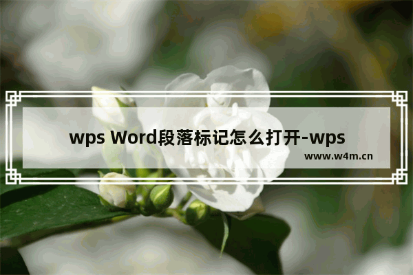 wps Word段落标记怎么打开-wps Word打开段落标记的方法