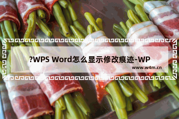 ?WPS Word怎么显示修改痕迹-WPS文档显示修改记录的方法教程