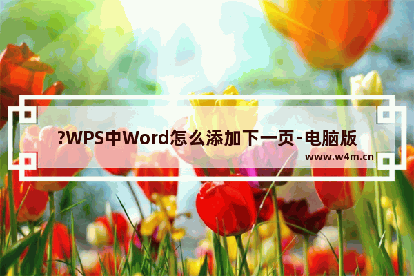 ?WPS中Word怎么添加下一页-电脑版WPS Word插入下一页的方法教程