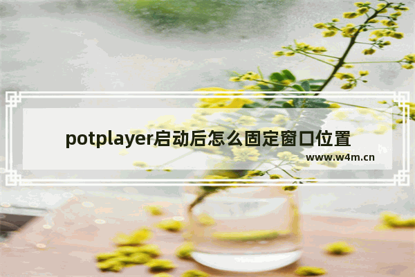 potplayer启动后怎么固定窗口位置和尺寸-potplayer播放器启动后窗口位置和尺寸设置方法