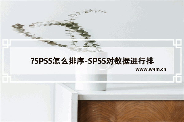 ?SPSS怎么排序-SPSS对数据进行排序的方法教程