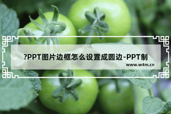 ?PPT图片边框怎么设置成圆边-PPT制作圆形边框图片效果的方法教程