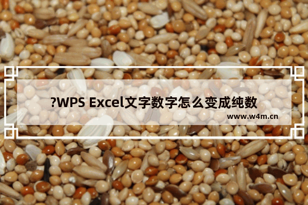 ?WPS Excel文字数字怎么变成纯数字-WPS Excel将文本型数字转换为正常数字的详细教程