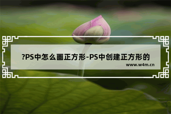 ?PS中怎么画正方形-PS中创建正方形的详细教程