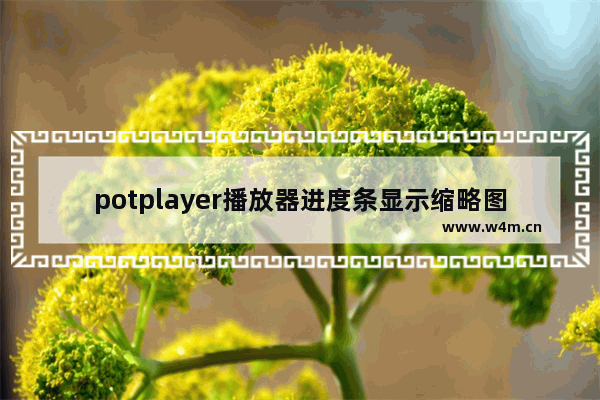 potplayer播放器进度条显示缩略图怎么设置-potplayer播放器进度条显示缩略图的设置方法