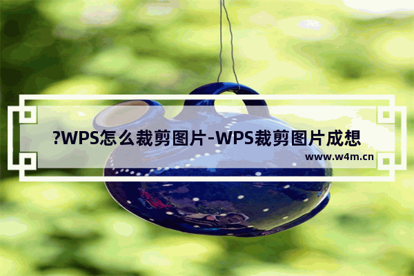 ?WPS怎么裁剪图片-WPS裁剪图片成想要的图形的方法教程