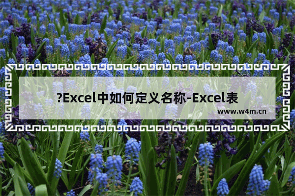 ?Excel中如何定义名称-Excel表格里面定义名称的方法教程