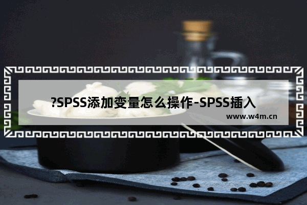 ?SPSS添加变量怎么操作-SPSS插入变量的方法教程