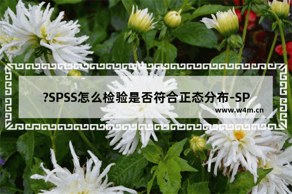 ?SPSS怎么检验是否符合正态分布-SPSS进行正态分布检验的方法教程