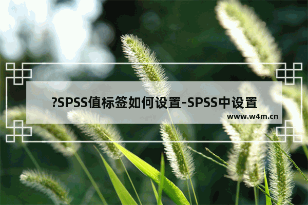 ?SPSS值标签如何设置-SPSS中设置值标签的方法教程