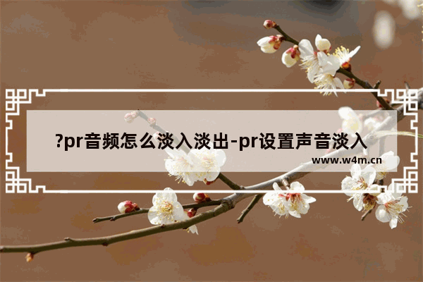 ?pr音频怎么淡入淡出-pr设置声音淡入淡出效果的方法教程