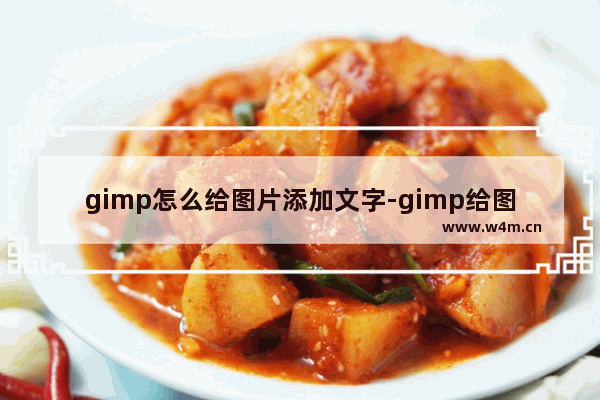 gimp怎么给图片添加文字-gimp给图片添加文字的方法