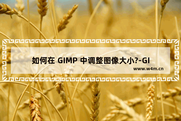 如何在 GIMP 中调整图像大小?-GIMP更改图像尺寸的方法