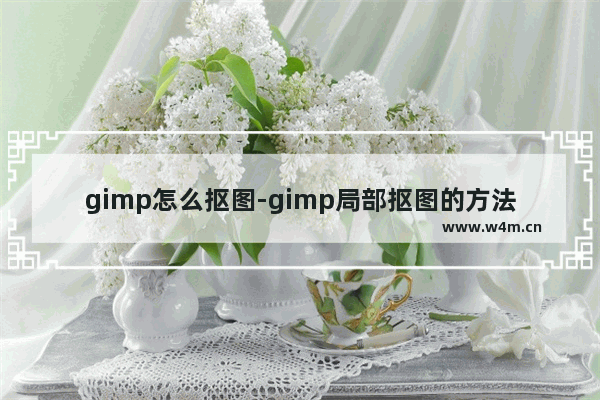 gimp怎么抠图-gimp局部抠图的方法