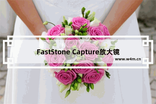 FastStone Capture放大镜怎么使用-FastStone Capture放大镜的使用方法