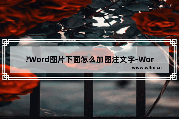 ?Word图片下面怎么加图注文字-Word在图片下方标注文字的方法教程