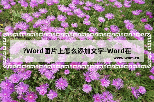 ?Word图片上怎么添加文字-Word在图片上直接编辑文字的方法教程